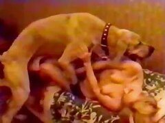 Raw Zoo Sex - Animal Clips & Zofilia