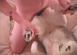 Missionary anal fucking with a kinky mutt in HD