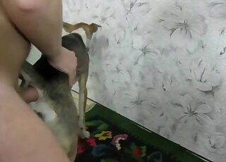 Dude's cock exploring her holes for the camera