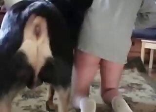 White socks man getting anally desolated