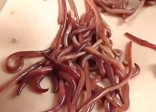Asian zoophile babe loves fucking worms on cam