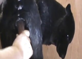 Her cavernous pussy is going to get fucked HARD