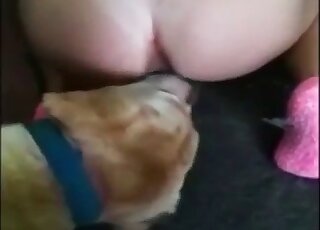 Pôsobivý doggystyle súložiť s big-assed babe