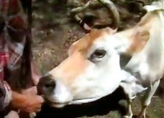 Sexy cow fucked by farmer in doggy pose