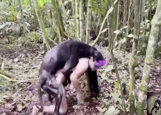 為了展現她和她的狗錯過了什麼