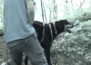 Zoophile dude is going to work on this hot mutt