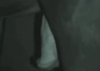 Dude chooses to fuck his horse with a fist too