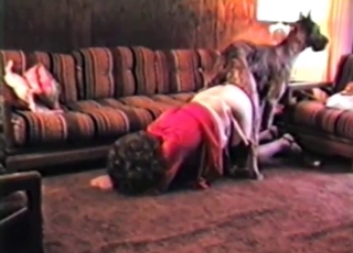 Huge thrusts and true domination for crossdresser