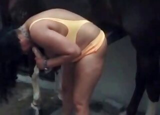 緊緻的陰道被一匹發情的馬操了