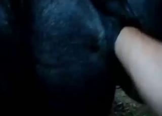 Boner would have looked less impressive inside