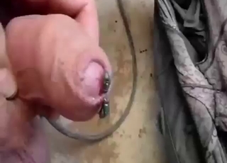 Bugs are going to crawl inside his urethra