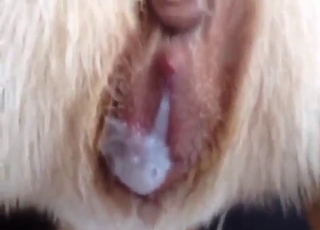 Do not stop the way this pussy gets stretched