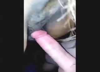 Zoo XXX movie shows a sexy horse getting fucked