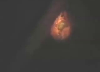 Bestiality porn shows a guy fucking a beast