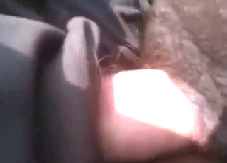 Zoo XXX with a cow getting fucked in the field