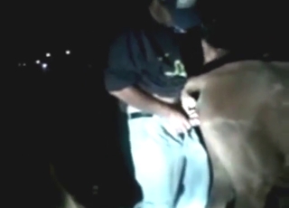 Unforgettable mare pussy fuck scene set outside