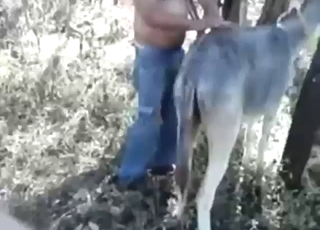 Outing himself as the biggest mare pussy gapist