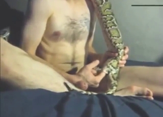 Naughty guy fucking a snake's mouth big time