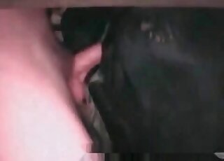 Dude shoves his cock real deep here