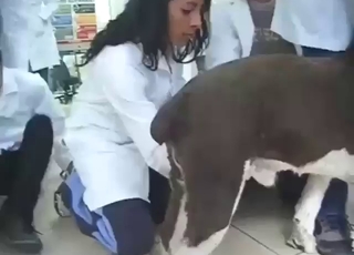 Horny Latino guy gathering this dog's seed