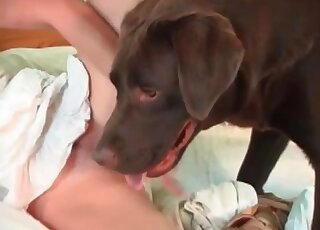 Dark-haired chick is all about bestiality