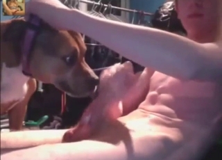 Teen with a hard peen fucks a gay dog orally