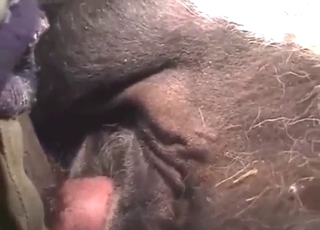 Mare bo pofukal fantov OGROMEN erekcijo