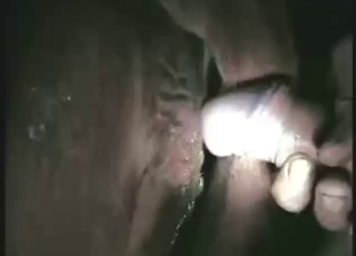 Cow's ass and pussy are going to get fucked