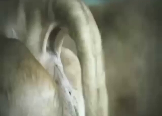 Cow shows how it shits and it's so fucking yummy