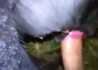 Black cow with a meaty vag gets fucked in POV