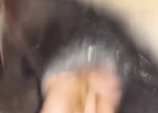 Horse zoo porn with close-up anal fisting in HD