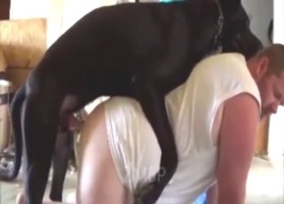 Black dog bangs male ass in bestiality sex