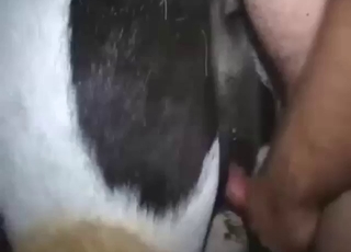 Dude slides a nice penis to fuck that slutty cow