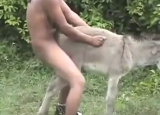 Donkey getting fucked from behind, outside