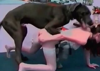 Black dog fucking this stretched out pussy