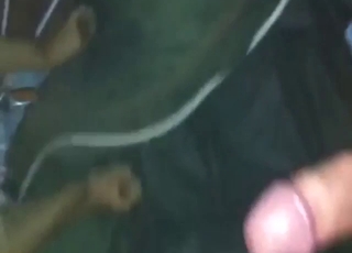 Nice blowjob with a mastiff that sucks hard dick