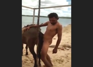 Sad-looking dude fucks a mare all over the beach