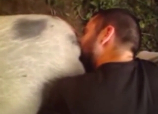 Guy wants to taste pig pussy on his nose too