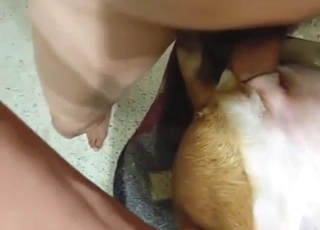 Dog-fucking alpha male is going to tear it up