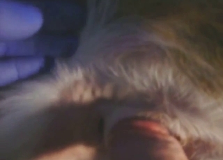 Zoophile is going to enjoy dirty doe play up close