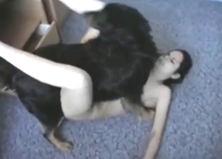 Hot brunette fucked into the floor by a dog