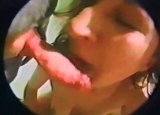 Hidden cam footage showing hot bestiality