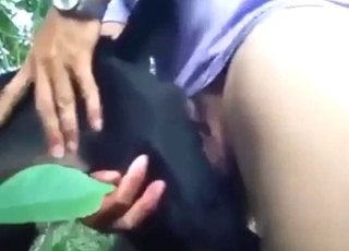 Horned-up zoophile building up to orgasms with dog