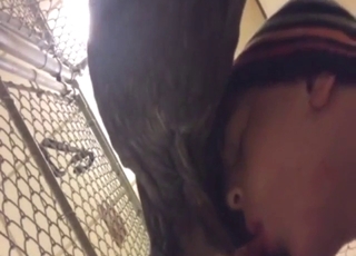 Dude records his dog BJ for the first time ever