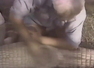 Crocodile sucking in a zoo porn threesome vid