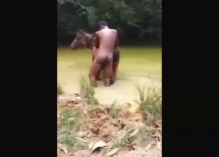 Zoo porn shows a guy who fucks a mare in water
