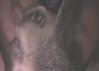 Guy wants to finger-pop that cat's cute pussy