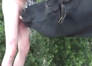 Zoo porn with sucking and slutty dick worship