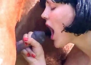 Busty babes are sucking a massive stallion