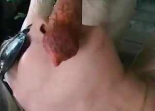 White dog with meaty dick gets sucked
